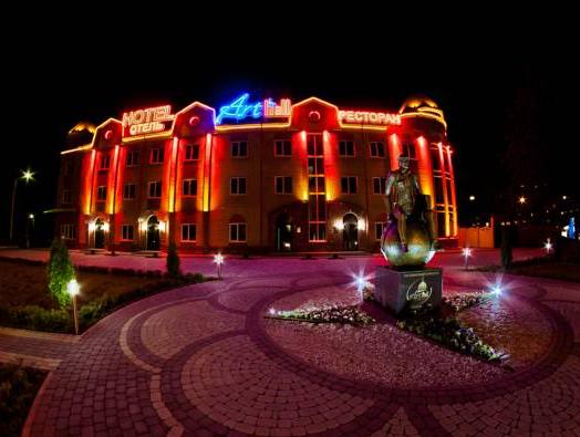 Art Hall Hotel photo 2