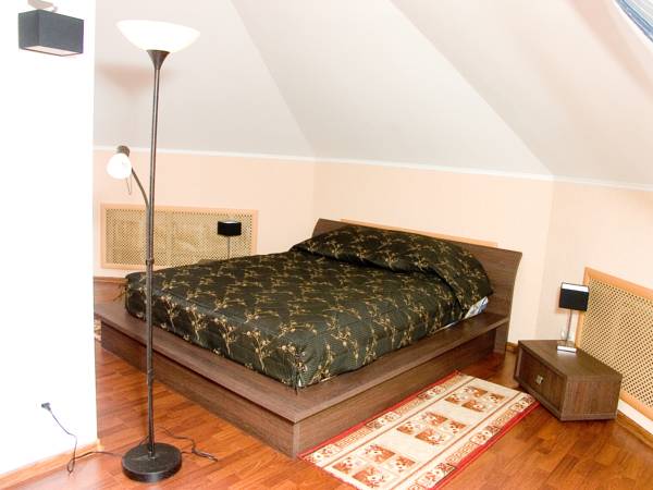 Sosnovy Bor, hotel photo 3