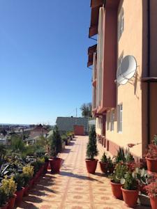 Рарауa Park Hotel photo 5