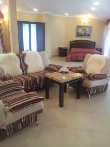 Korsar photo 2