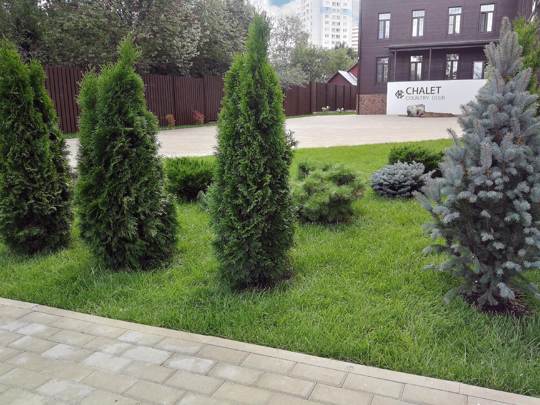 Chalet Country Club Sheremetyevo photo 3