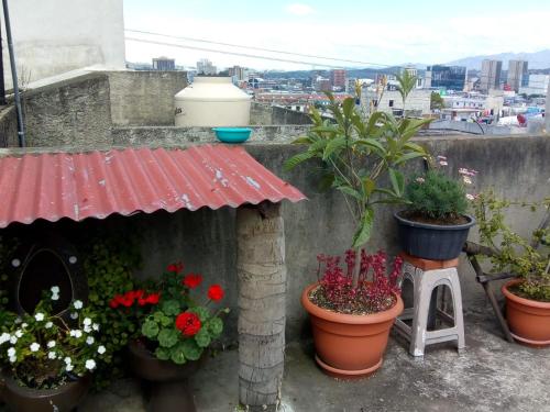 Balcony or terrace 2, Habitaciones Eco-Terrazas, ZONA 8