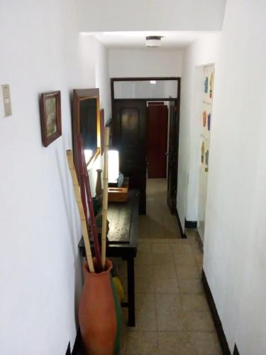 Facilities 5, Habitaciones Eco-Terrazas, ZONA 8