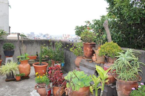 Garden 3, Habitaciones Eco-Terrazas, ZONA 8
