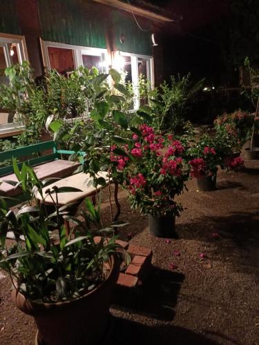 Garden 5, Canario Bungalows, Kemer