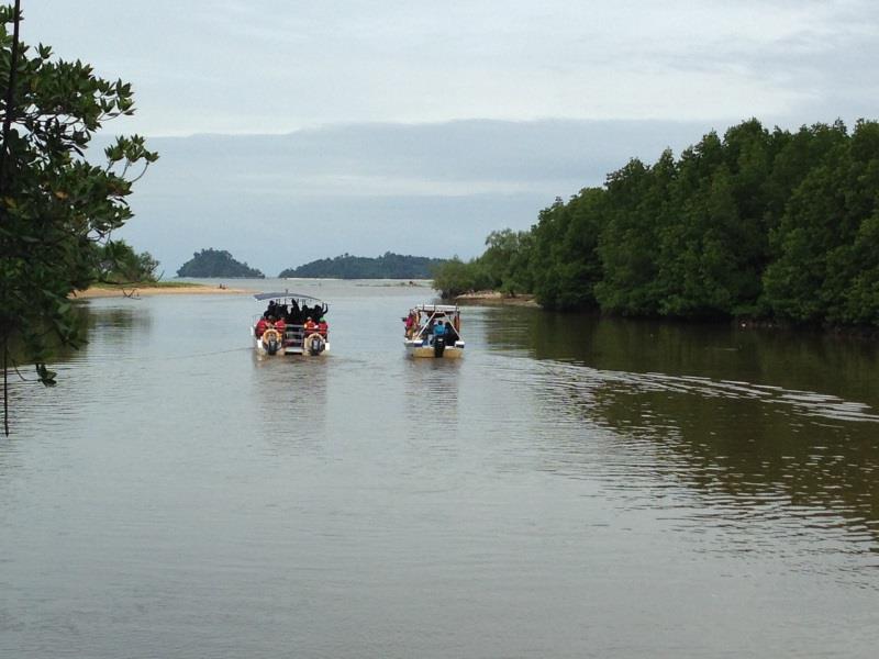 Sunborneo Island Resort photo 4