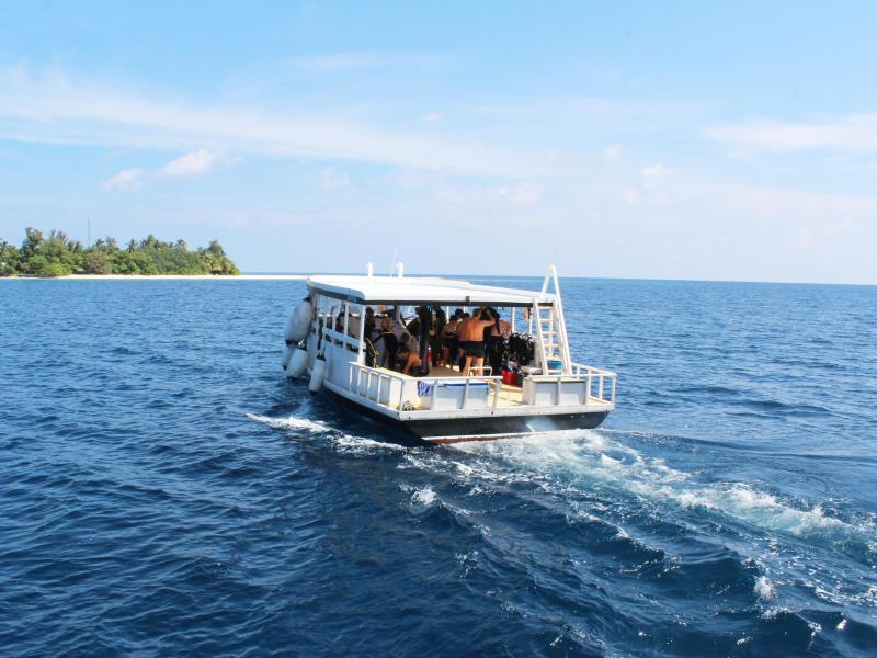 Honors Legacy Yacht photo 4