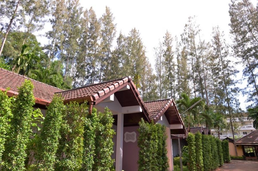The Delight Pine Tree Village photo 3