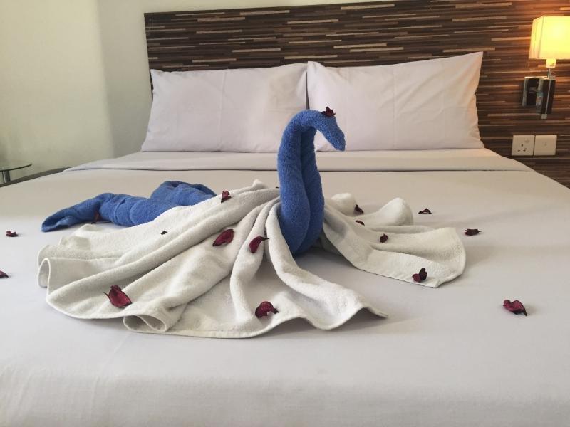 72 Hotel photo 4