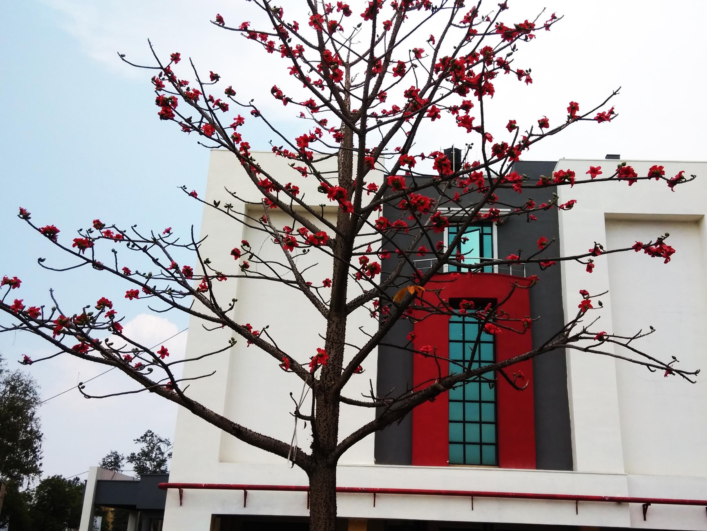 View, Max Hotels Jabalpur, Jabalpur