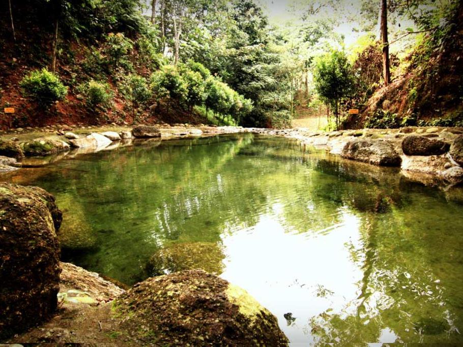 Refreshing Springs Resort photo 3