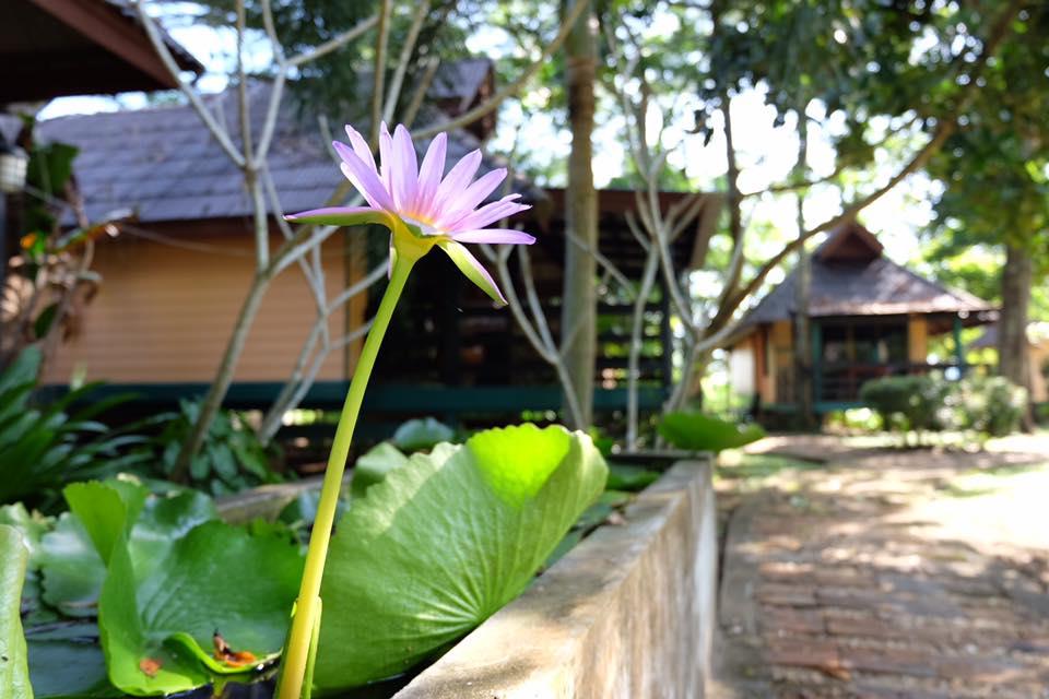 Baan Lalita Resort photo 4
