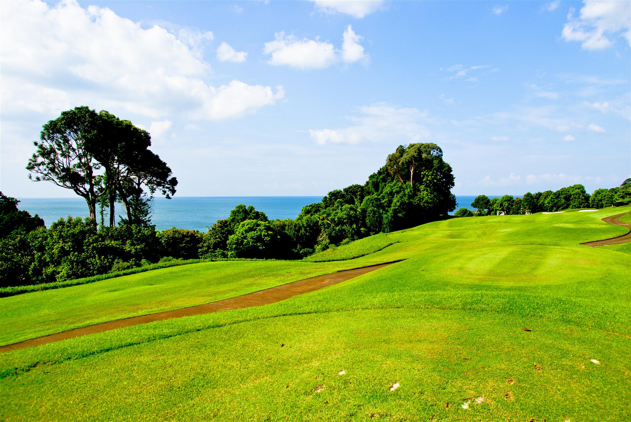 Cassia Bintan #1