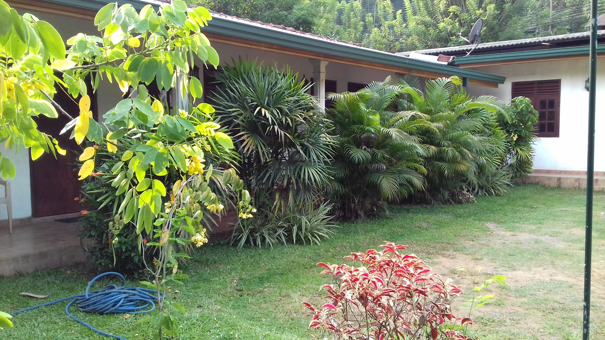 Leaf Holiday Resort photo 5