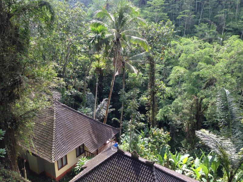 Bali Eco Resort and Retreat Centre photo 2