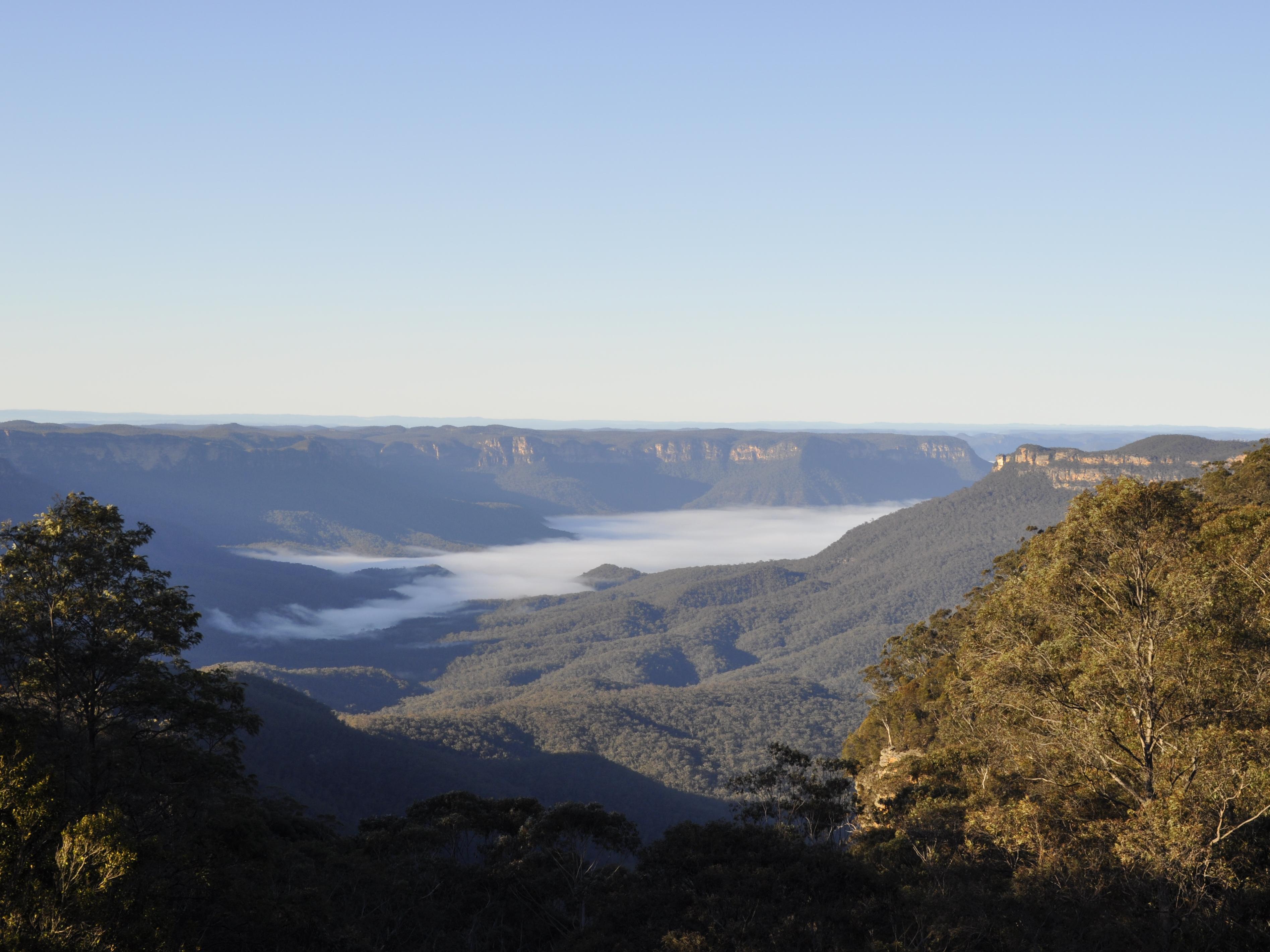 Jamison Guest House photo 4