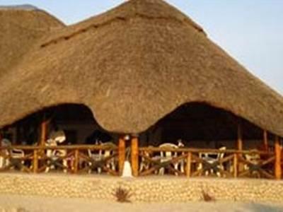 Manyara Wildlife Safari Camp Hotel