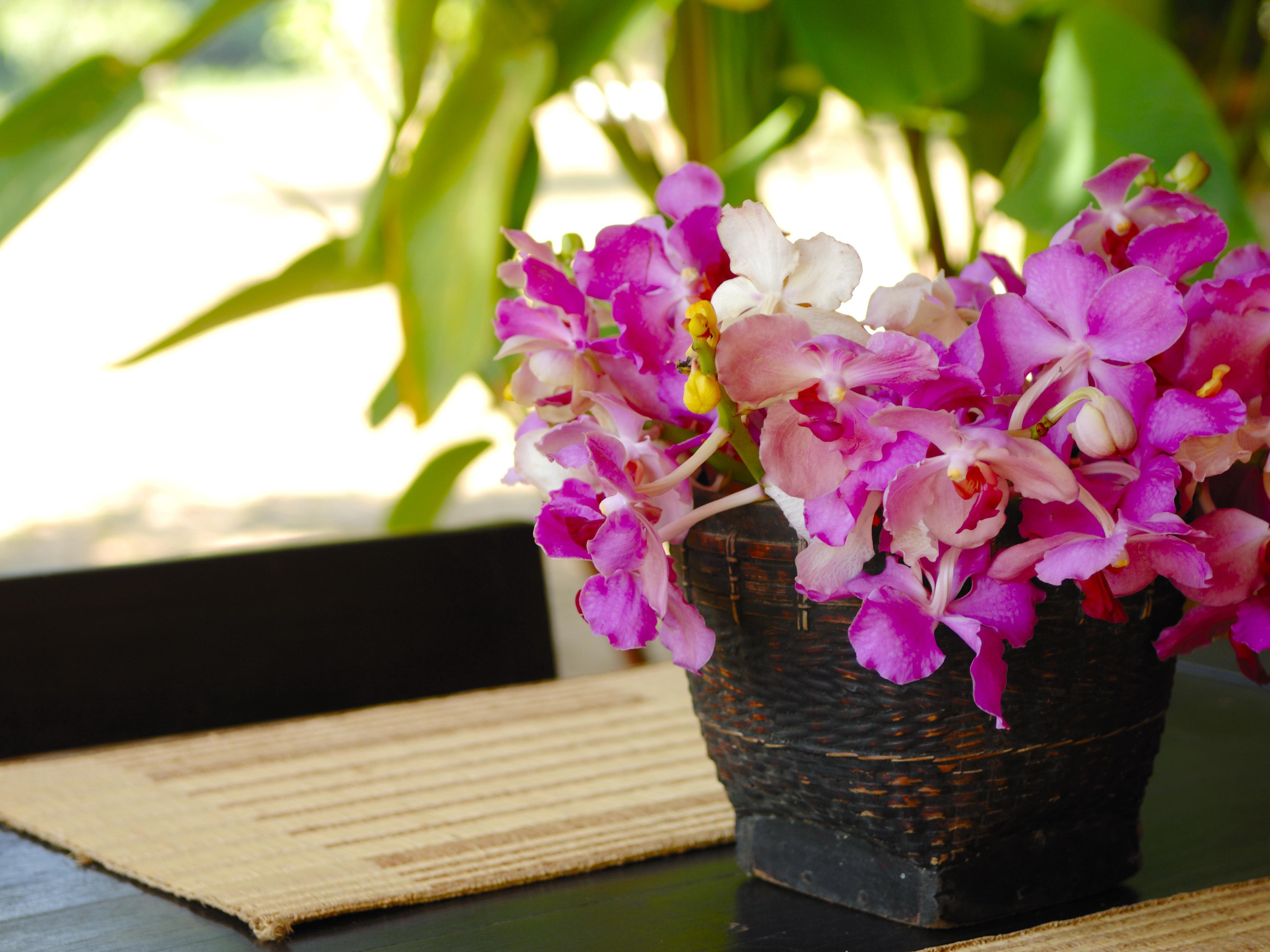 Baan Nam Pai Retreat photo 2