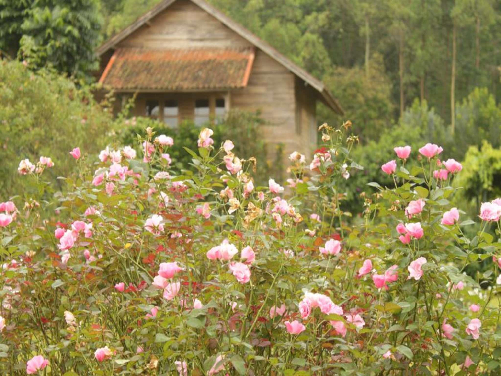 Kebun Mawar Situhapa Hotel photo 4