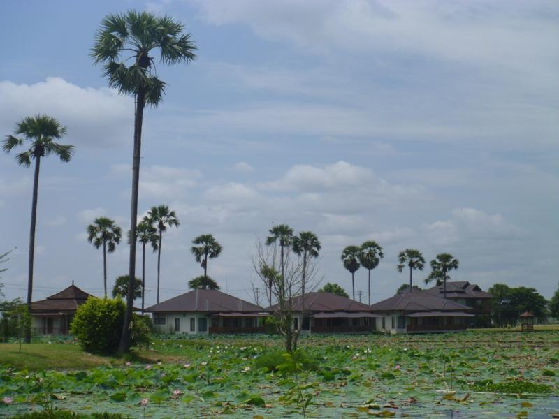 Nan Waddy Hotel photo 2