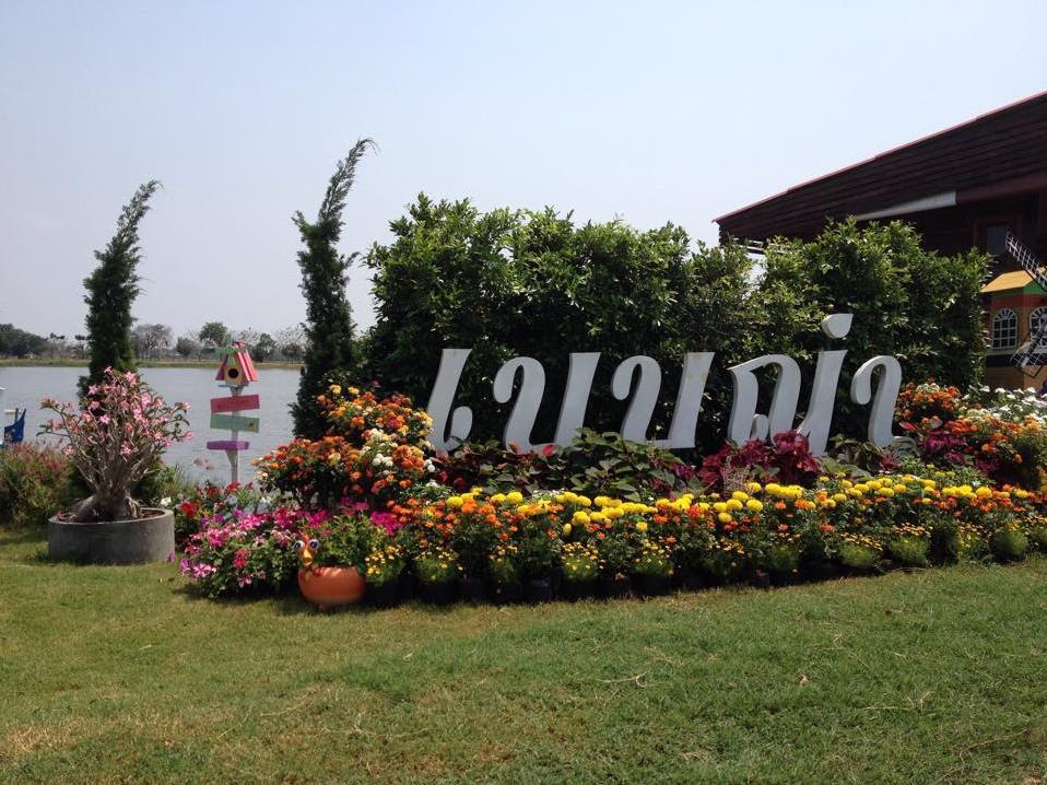 Babuya Resort photo 4