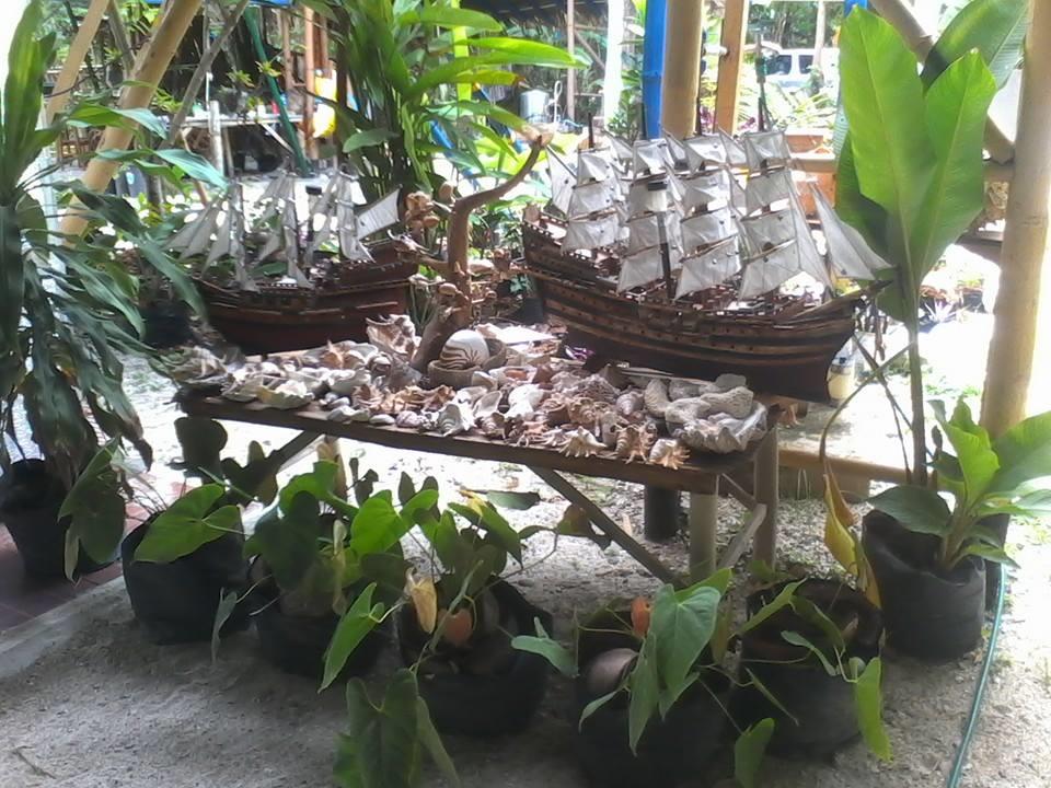 Ramalyn Beach Resort photo 5
