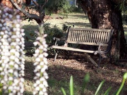 Sea & Vines Cottage photo 2