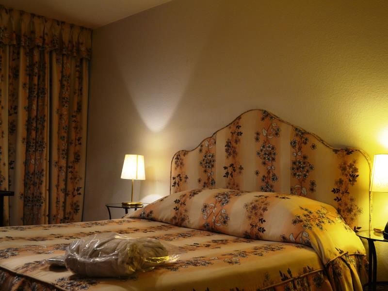 Hotel Adriatica Geneva image 1