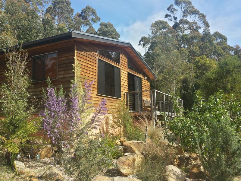 Southern Forest Accommodation photo 2