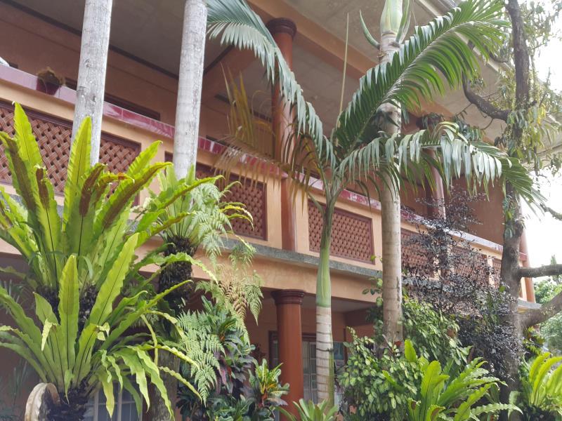Tropical View Inn And Restaurant photo 4