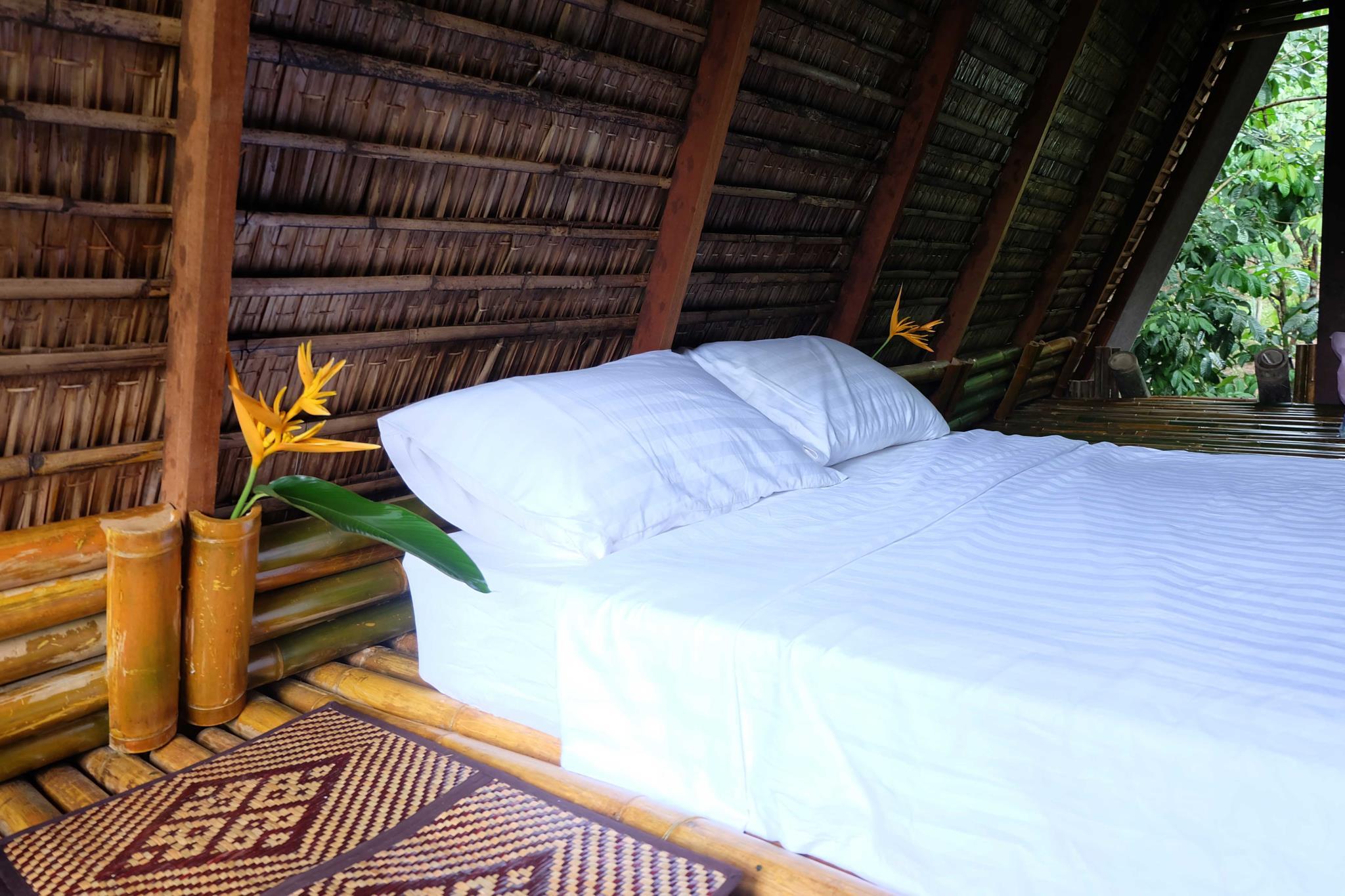 Pi Creek Hideaway Resort photo 3