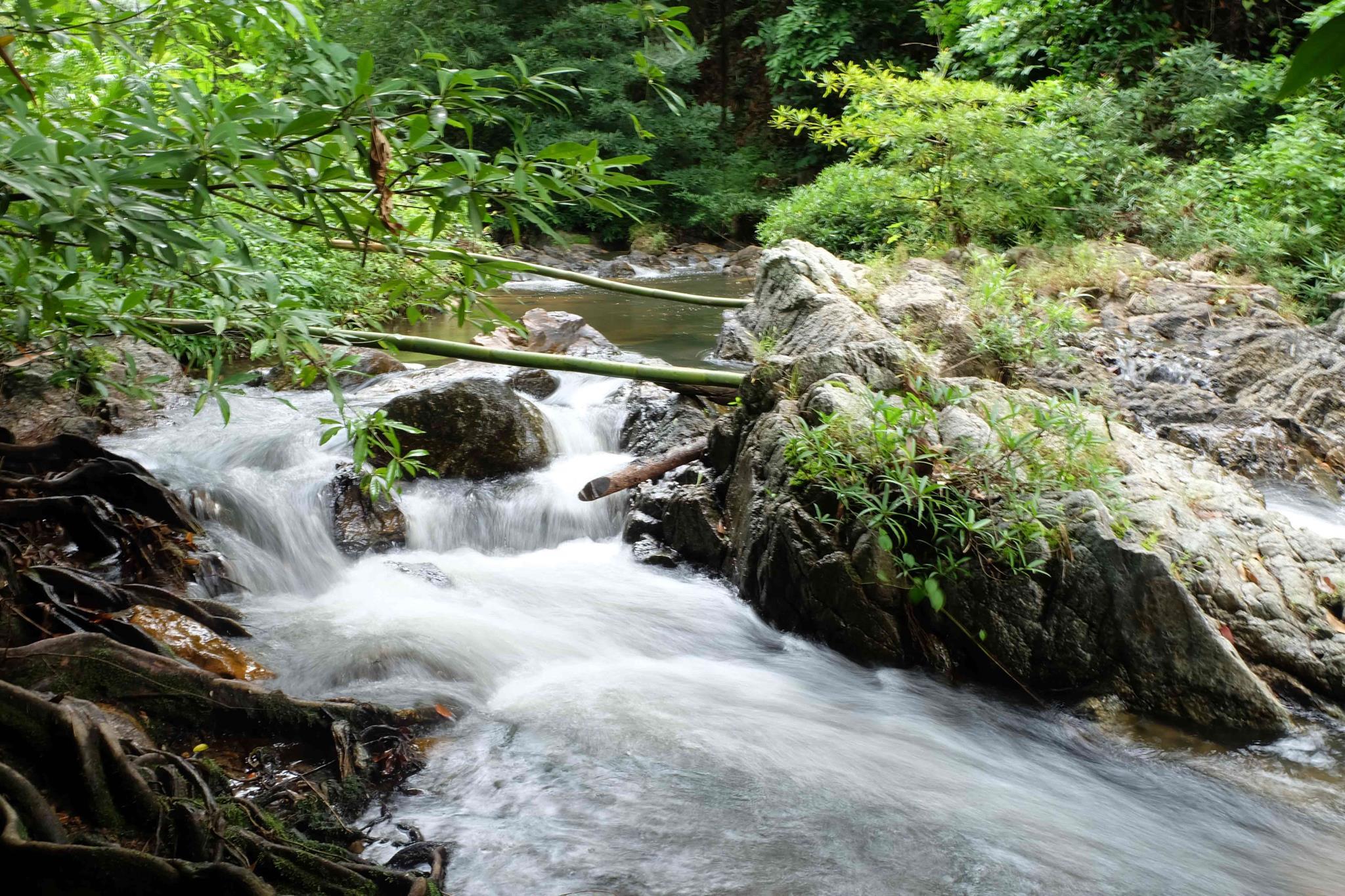 Pi Creek Hideaway Resort photo 5