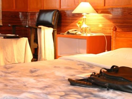 Hotel Srinagar photo 2
