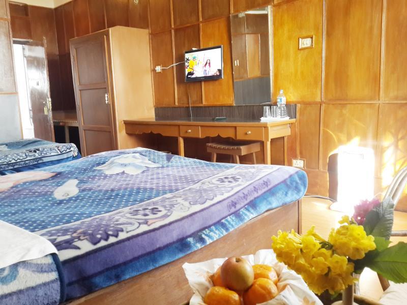 Hotel Srinagar photo 4