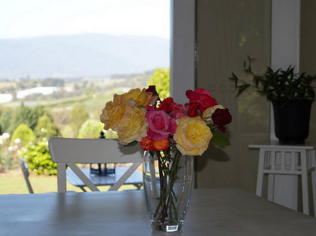Eagles View Bed & Breakfast photo 4