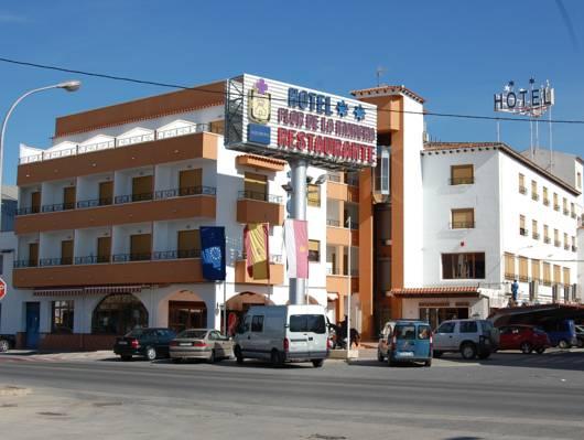 Hotel Flor de la Mancha image 1