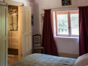 Uva do Monte - Blueberry Farm photo 4