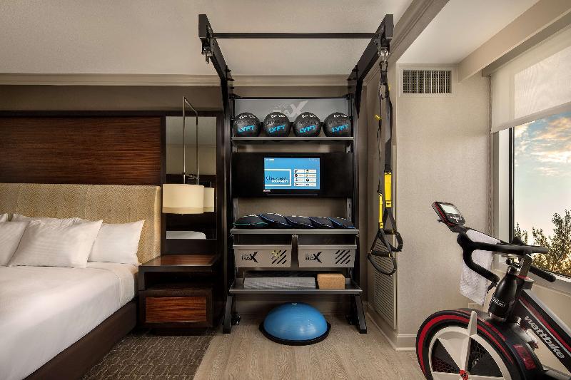HILTON MCLEAN TYSONS CORNER Room Type - 1 KING FITNESS MOB HEAR AC