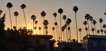 Mystayla photo 4