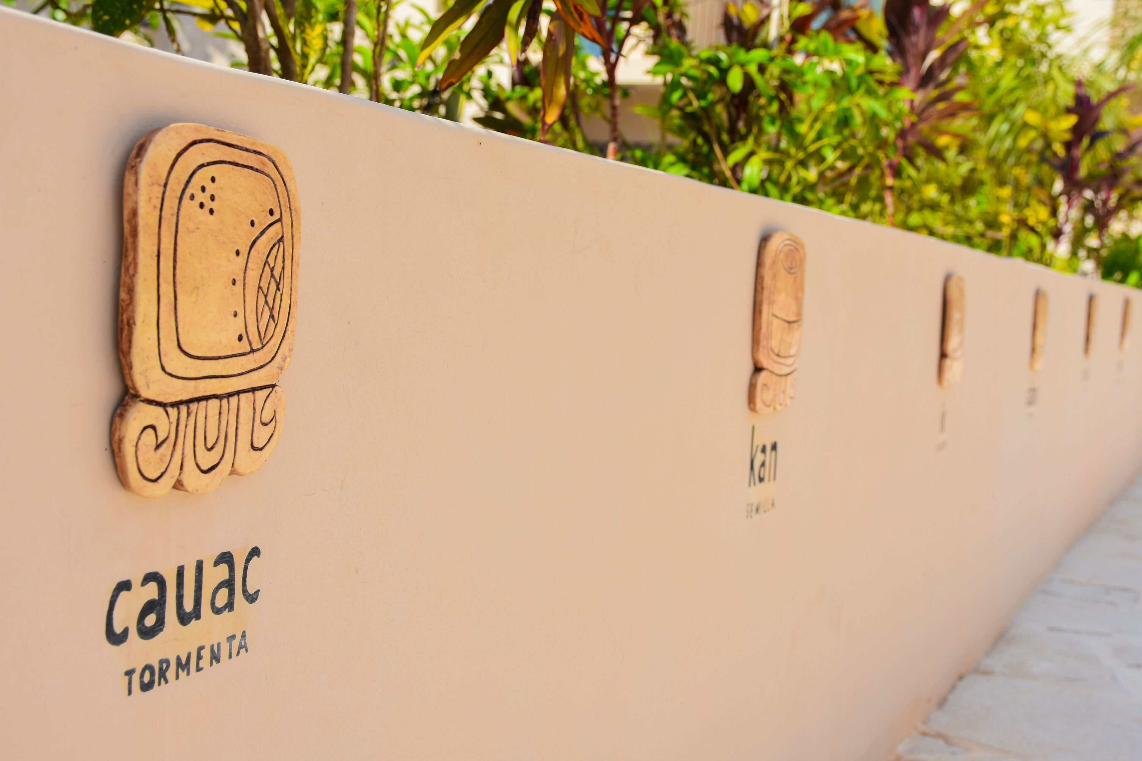Waye Valladolid Centro – Sustainable, Authentic Experiences & Pet Friendly Boutique Hotel - Tap to explore photos