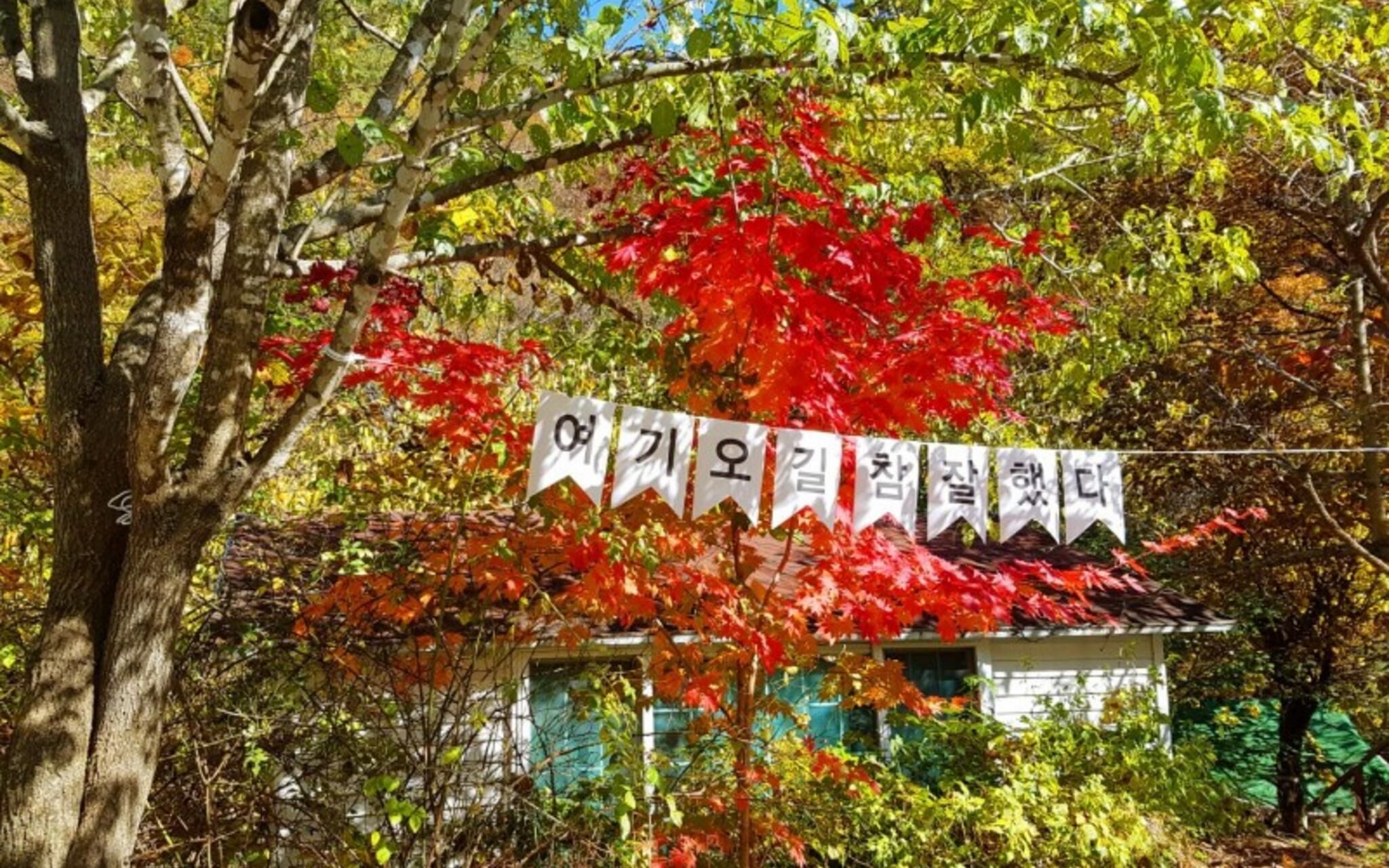 Miryang The Stay Sup Pension photo 5