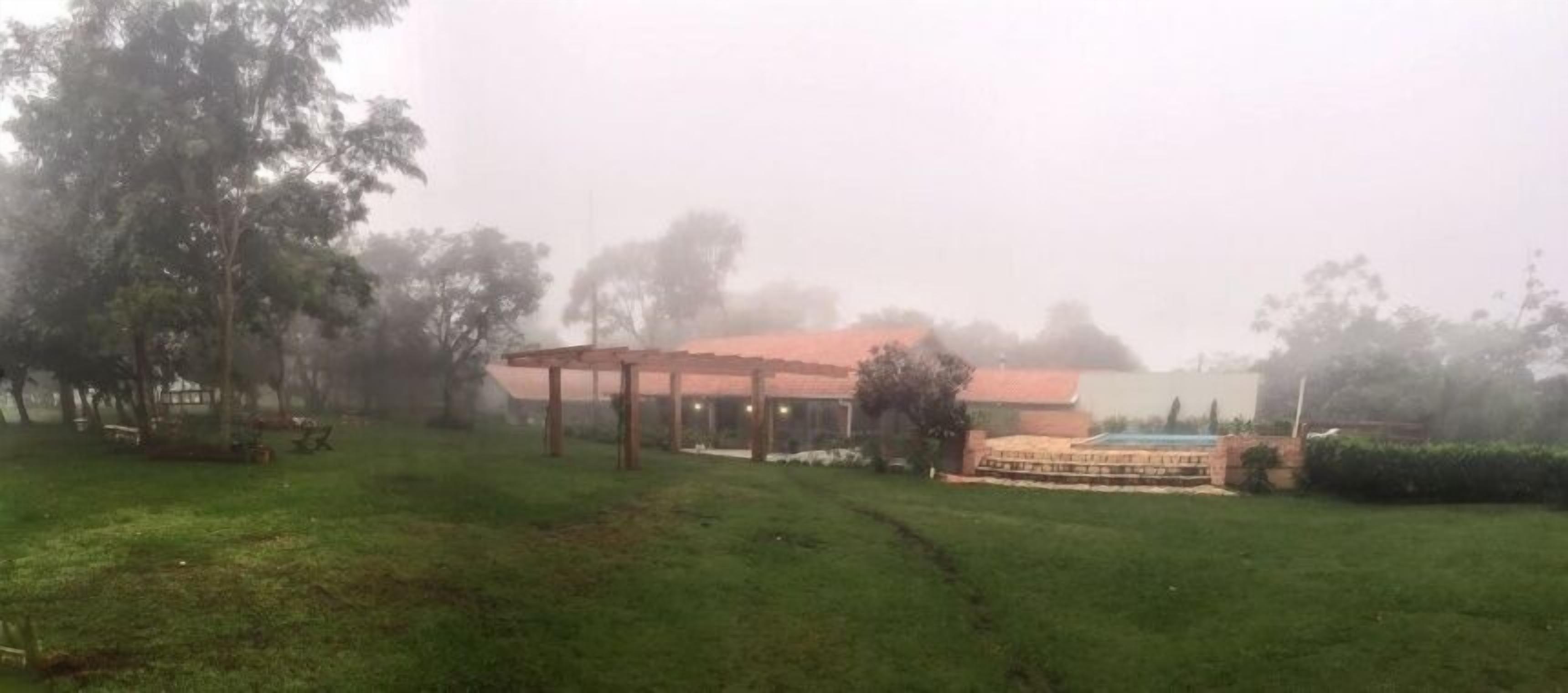 Bosque Da Neblina photo 5