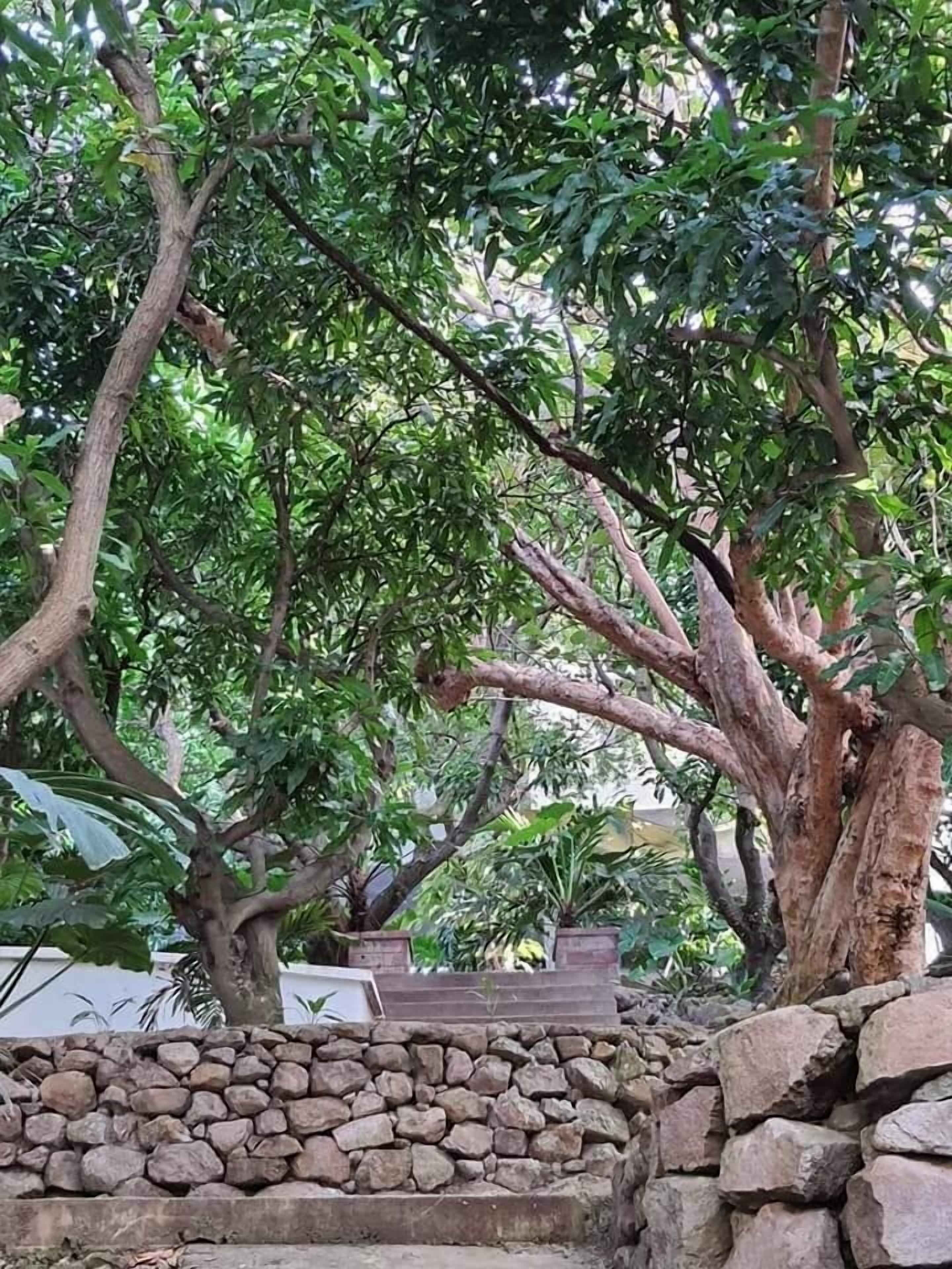 Outdoor banquet area