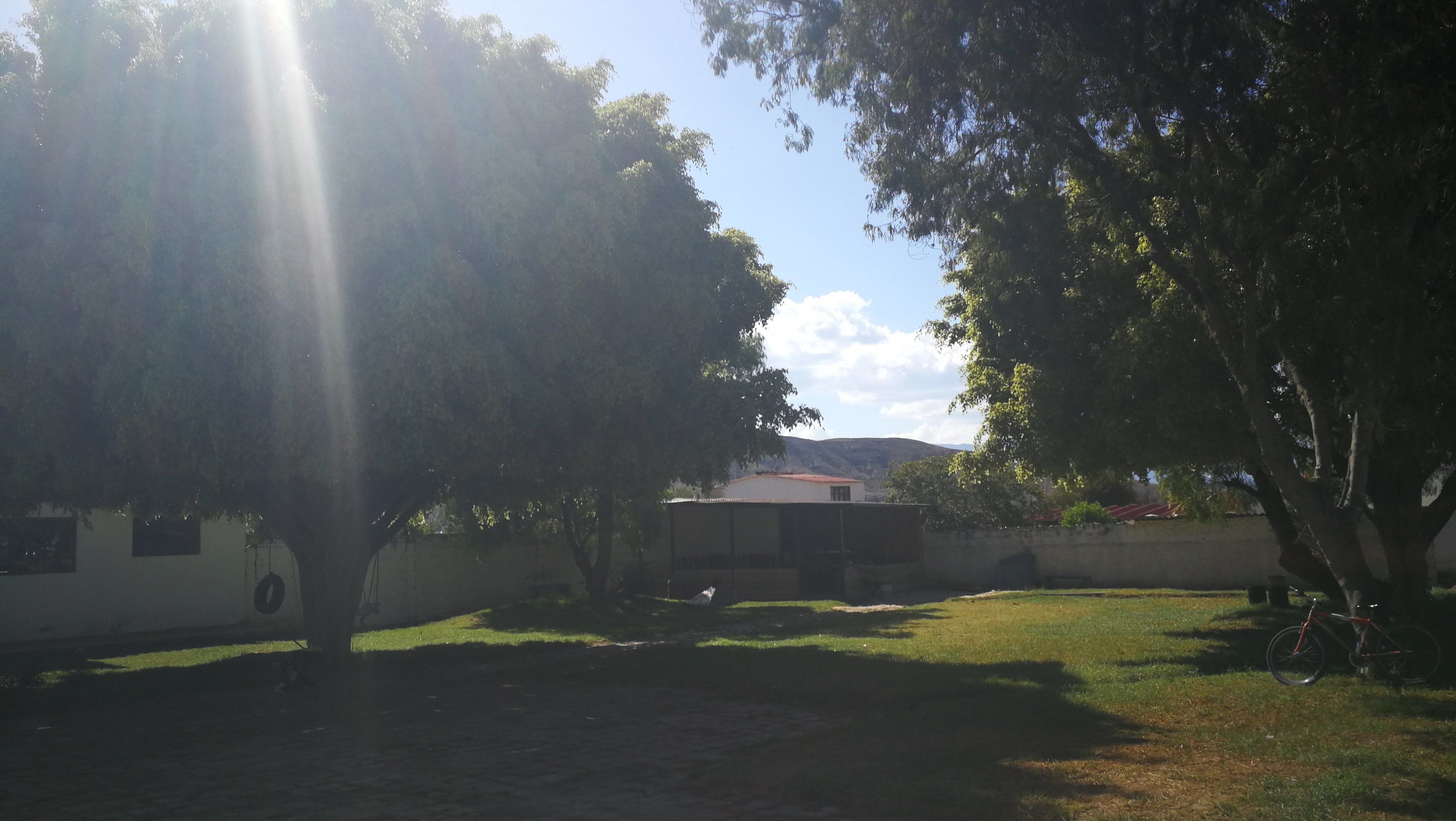 Ficus Hotel Boutique photo 4