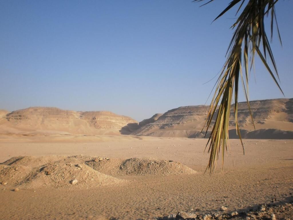 House of Life Abydos