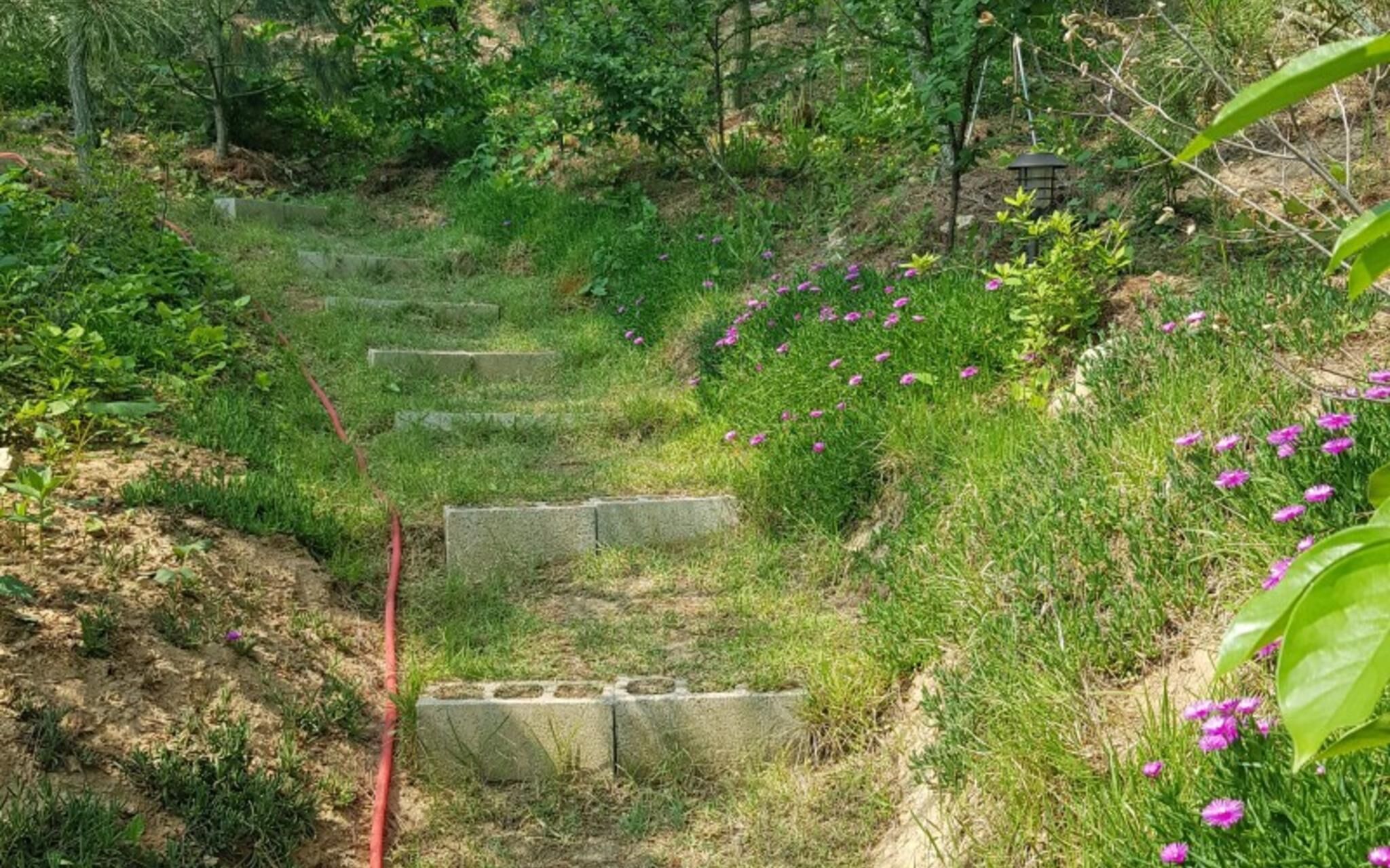 Taean Solbat Pension photo 5