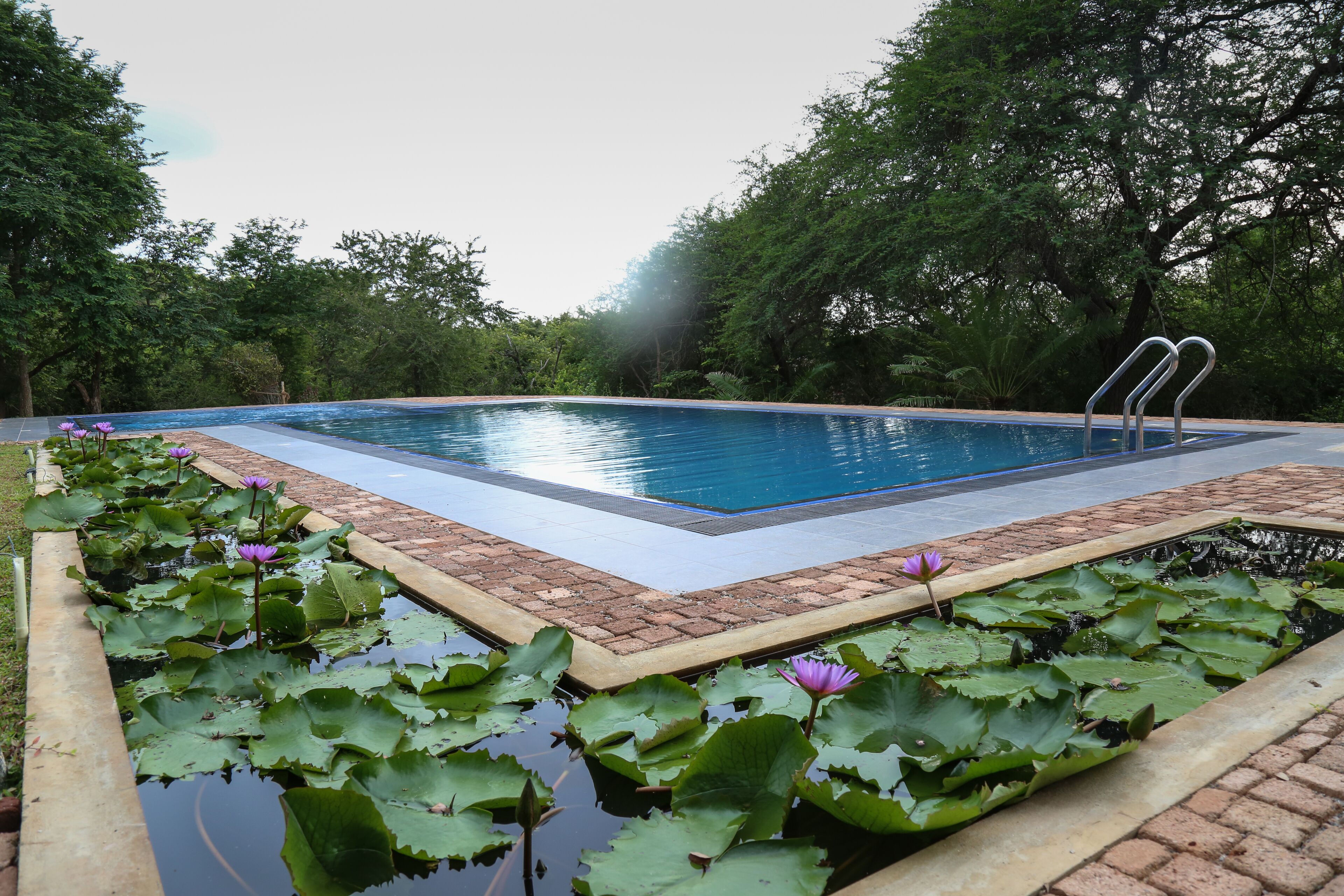 Cloud Nine Lanka Resort photo 5