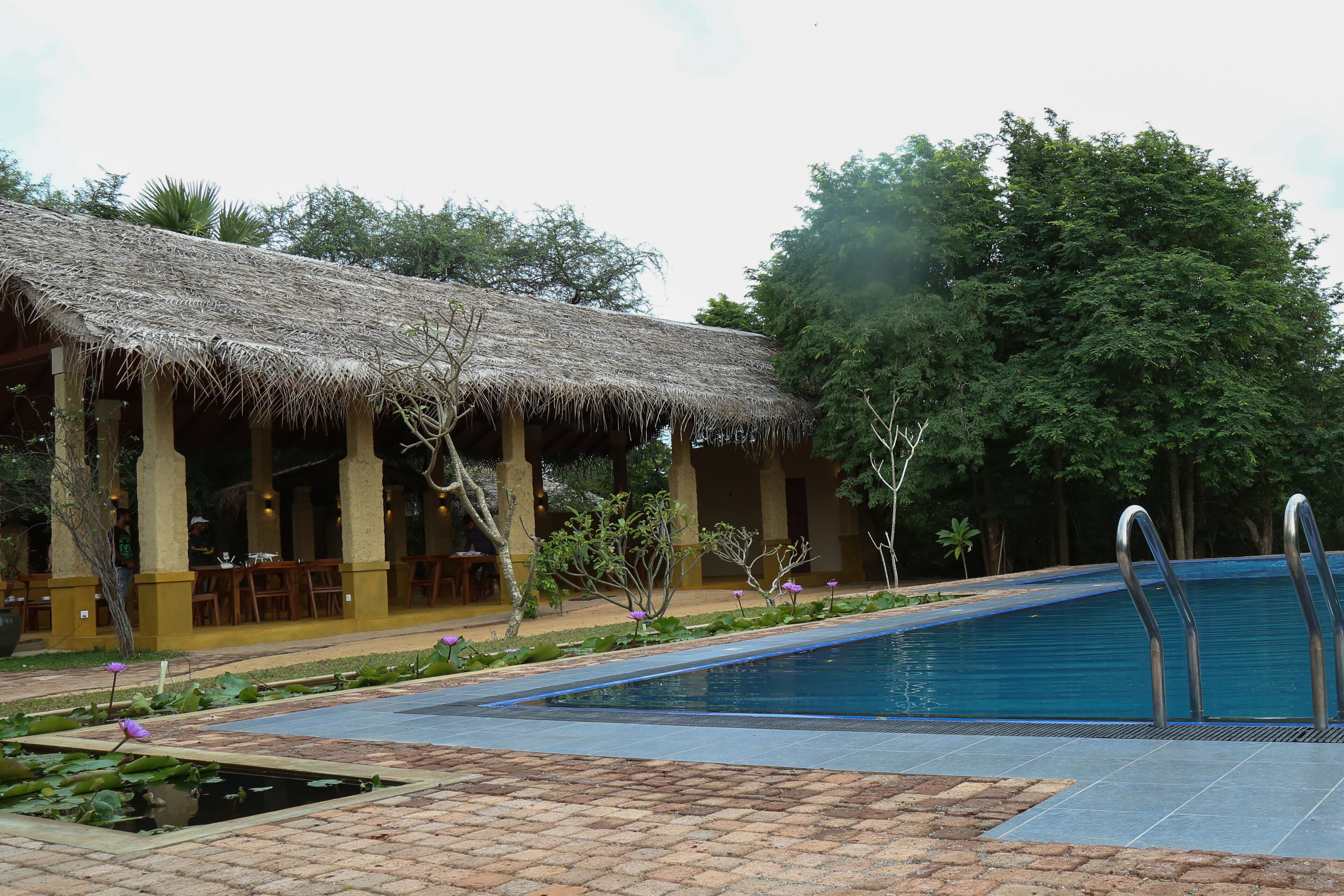 Cloud Nine Lanka Resort photo 3