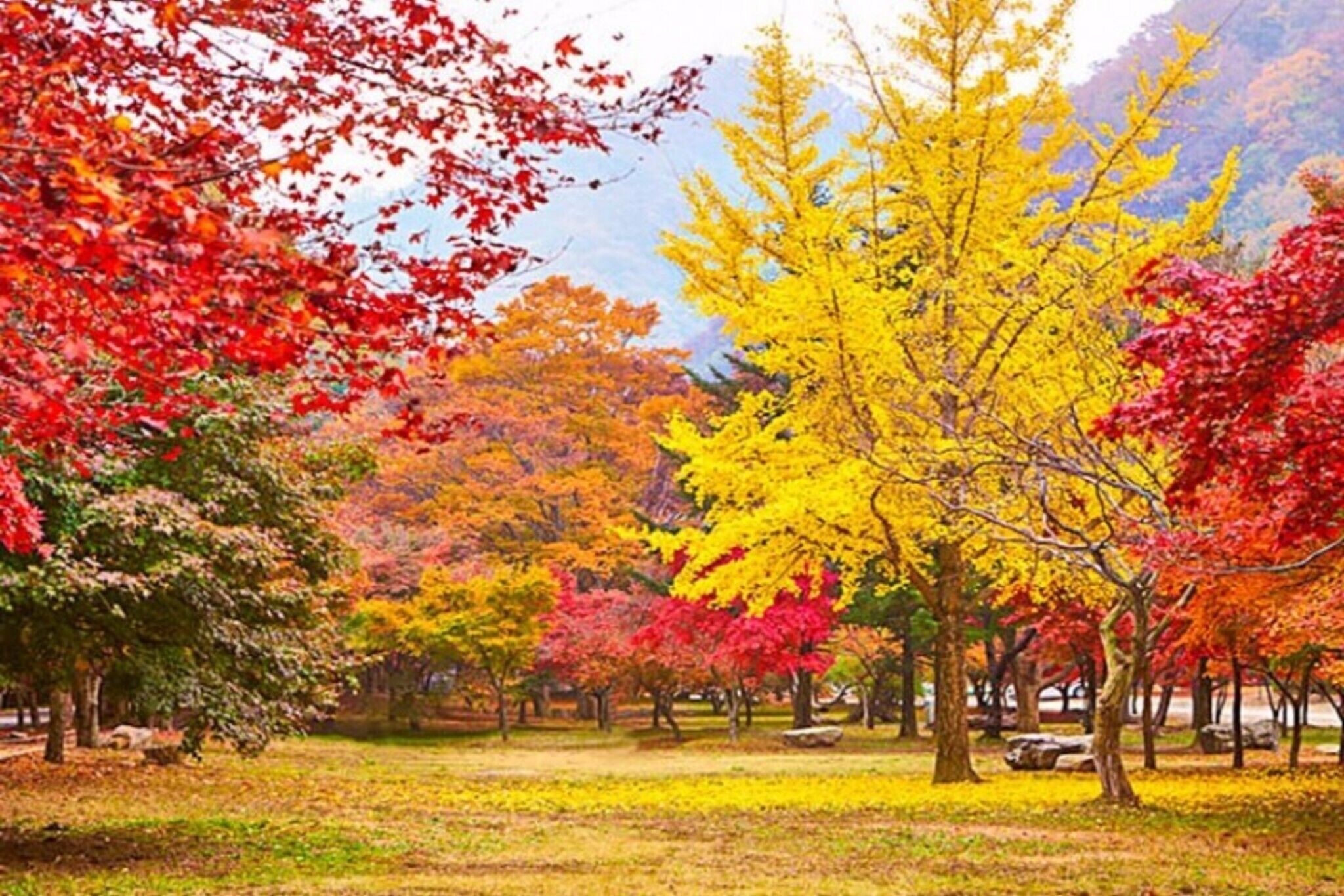 Jeongeup Brahms Pension A photo 4