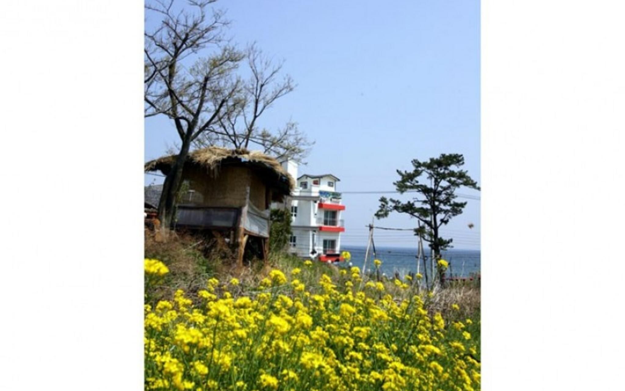 Pohang 5-island Pension photo 5